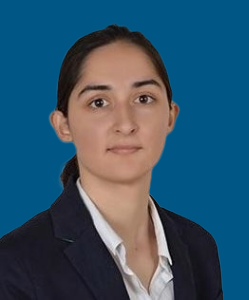 Remove background project (13)